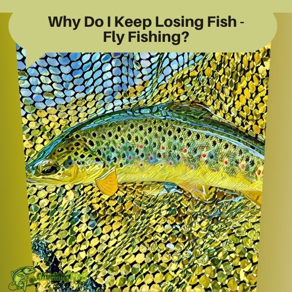 Why Do I Keep Losing Fish - Fly Fishing