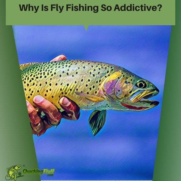 Why Is Fly Fishing So Addictive