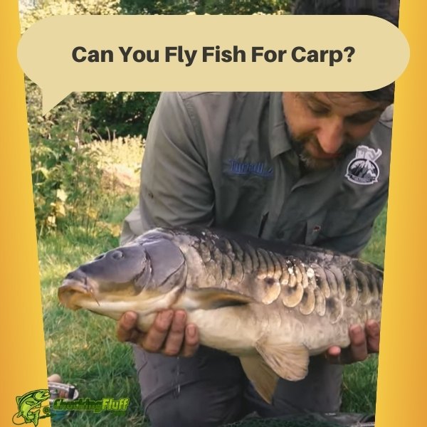 Can You Fly Fish For Carp