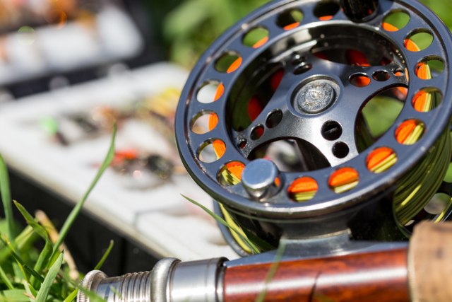 fly fishing reel