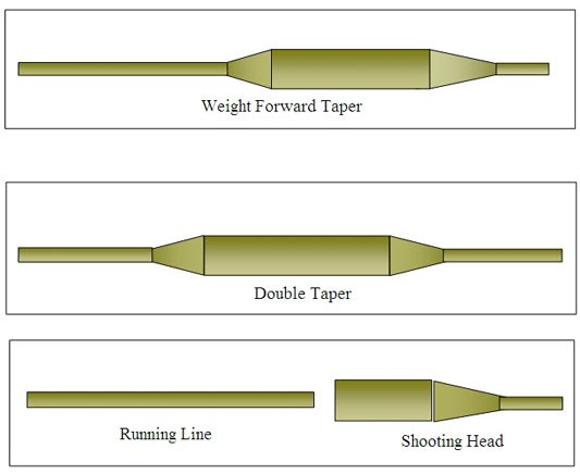 fly fishing line tapers