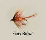 Fiery Brown Trout Fly