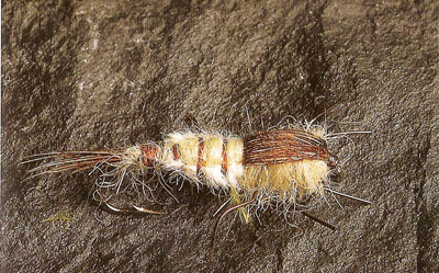 Mayfly Nymph Fly