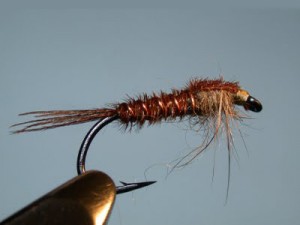 Pheasant Tail Trout Fly