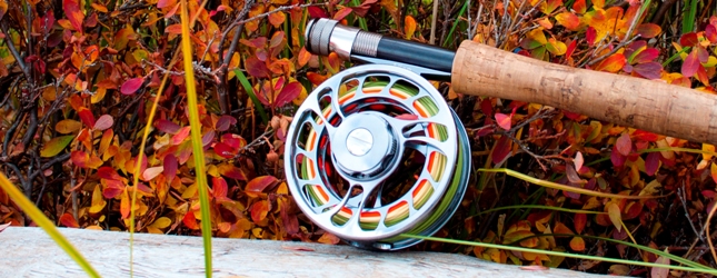 Fly Rod Reel and Line