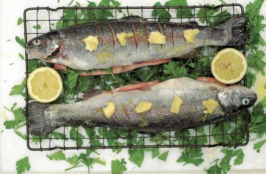 grilled trout