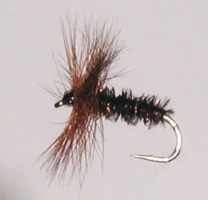 Best flies for brown trout - coch-y-bonddu-dry