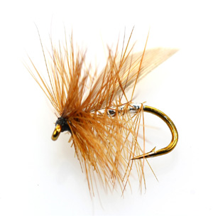 Best Flies for Brown Trout 2024 - Catch more Fish