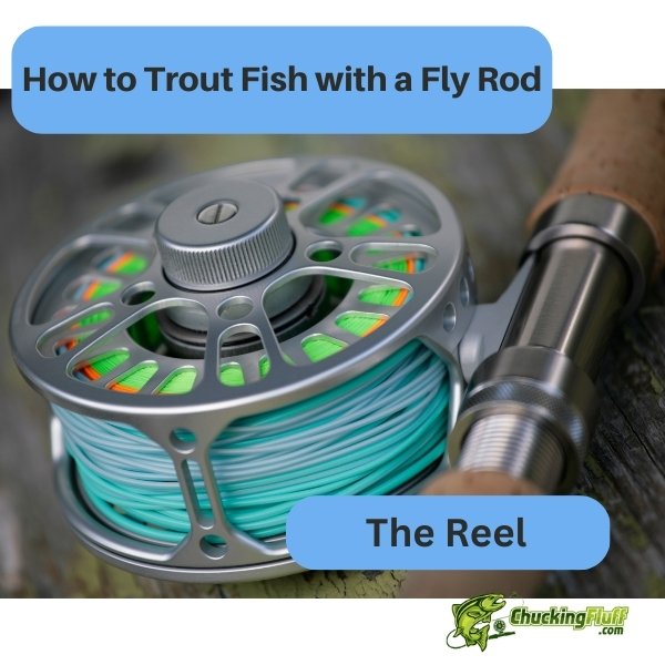 How to Trout Fish with a Fly Rod