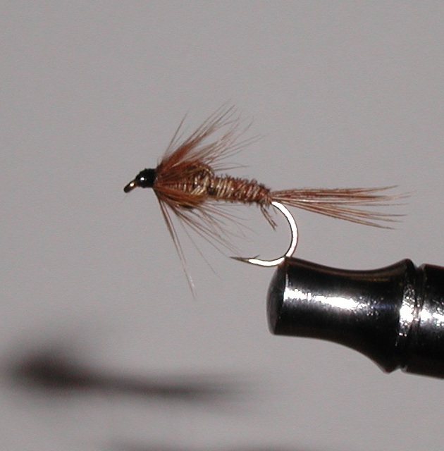 Nymph Patterns For Trout