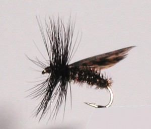 Dry Trout Fly Patterns