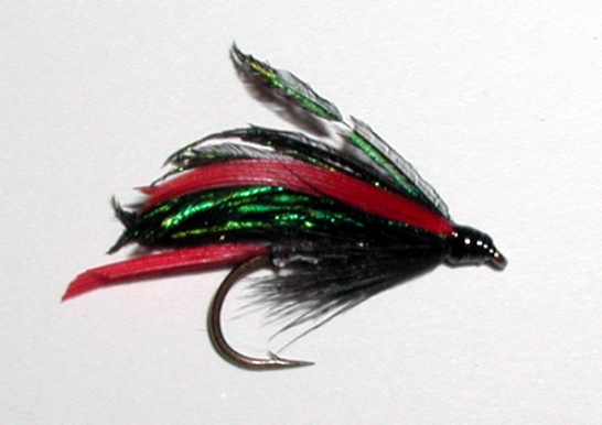 Alexandra wet trout fly pattern