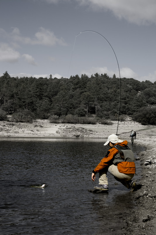 best fly fishing techniques