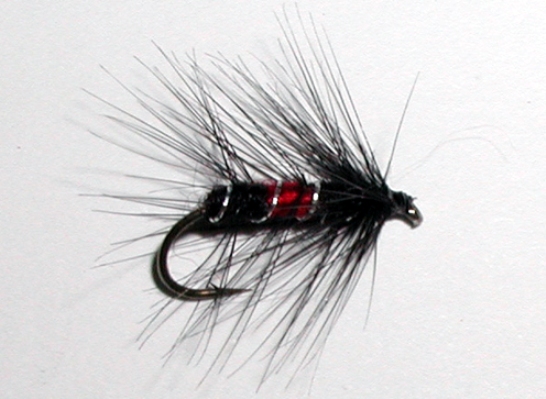 Bibio wet trout fly pattern