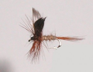 Dry Trout Fly Patterns