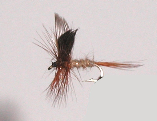 Gold ribbed hares ear dry fly