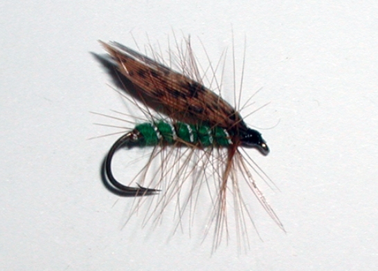 Green Peter wet trout fly pattern