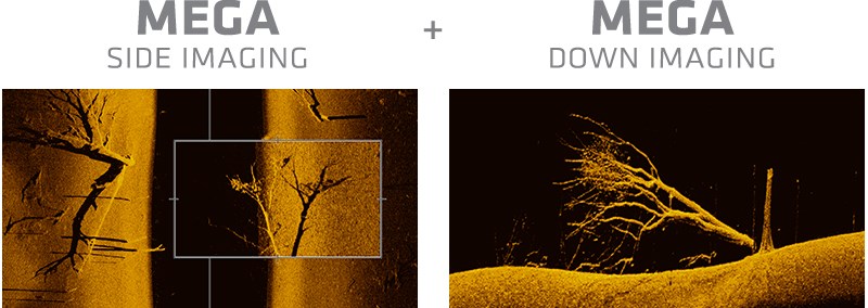 side imaging vs down imaging