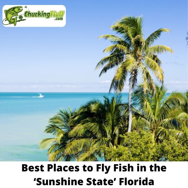 Best Fly Fishing in Florida the Sunshine State