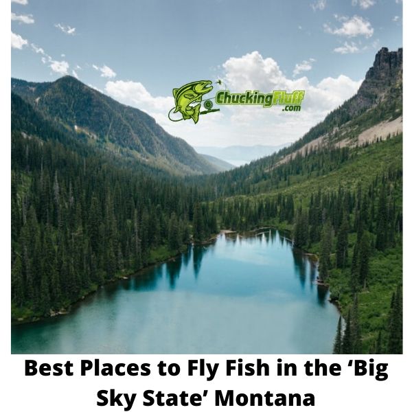 Best Fly Fishing in Montana