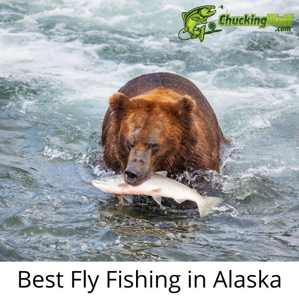 Best Fly Fishing in Alaska