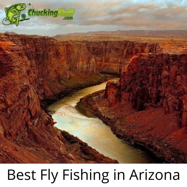 Best Fly Fishing in Arizona