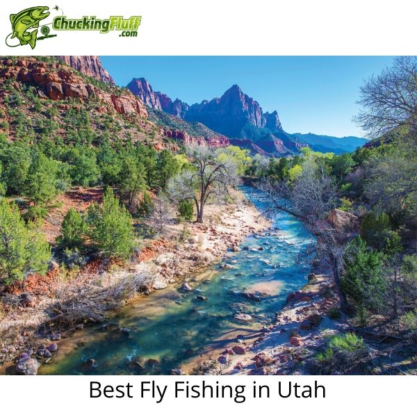 Best Fly Fishing in Utah