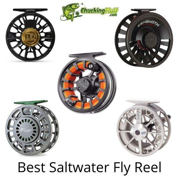 Best Saltwater Fly Reel for the Money – Valuable Priced in 2024