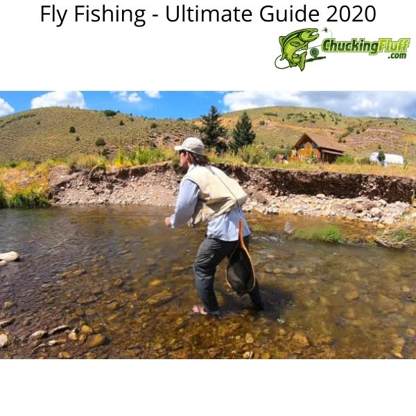 Ultimate Guide 2020 Dry Fly