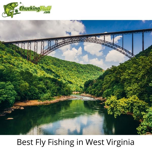 Best Fly Fishing in West Virginia