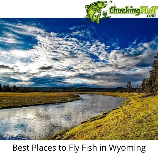 Best Places to Fly Fish in Wyoming