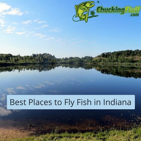 Best Places to Fly Fish in Indiana