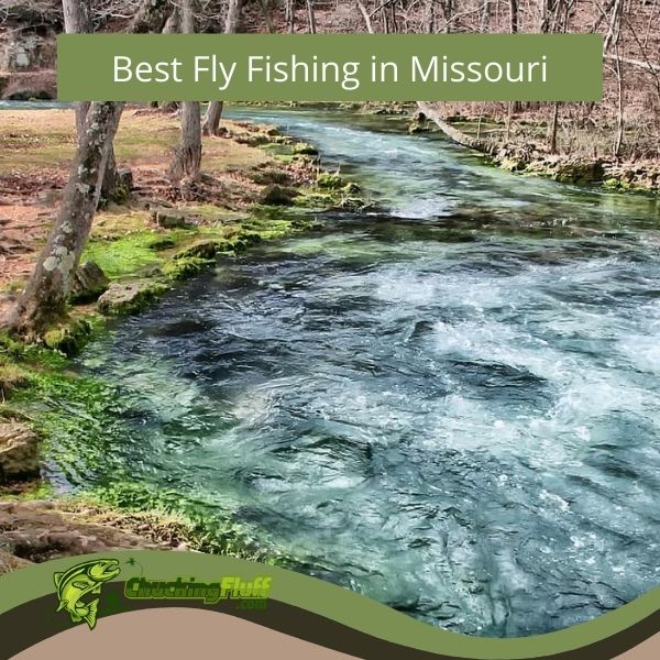 Best Fly Fishing in Missouri