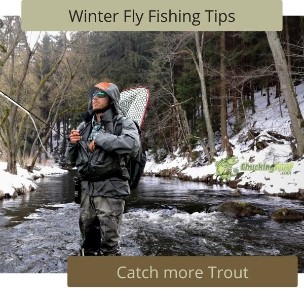 Tips on Winter Fly Fishing for Trout Catch More Fish!