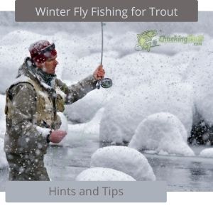 Winter Fly Fishing for Trout