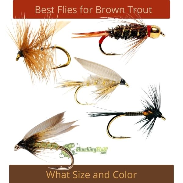 Best Flies for Brown Trout