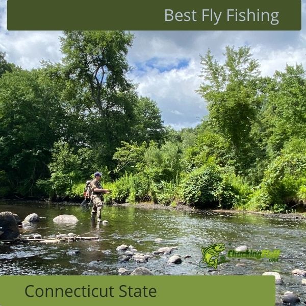 Best Fly Fishing Connecticut State