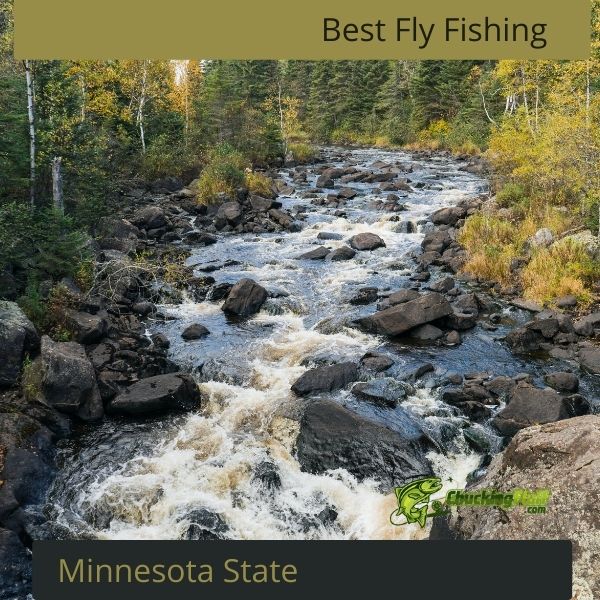 Best Fly Fishing Minnesota State