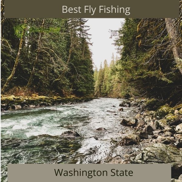 Best Fly Fishing Washington State