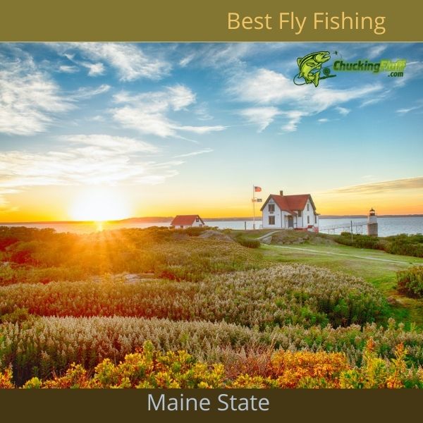 Best Fly Fishing in Maine State