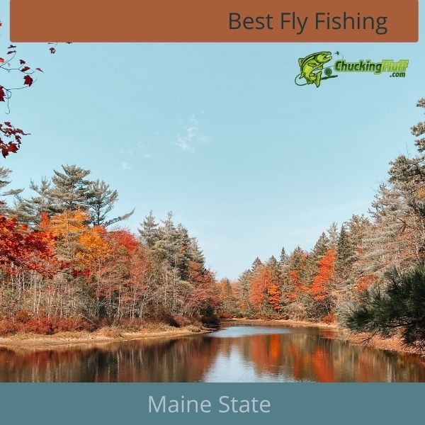 Best Fly Fishing in Maine