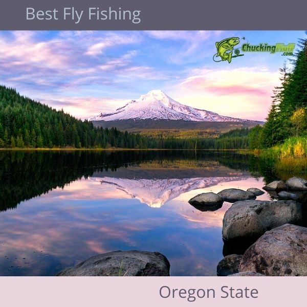 Best Fly Fishing in Oregon State