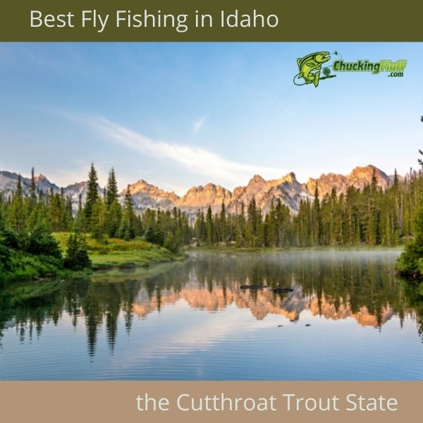 Best Fly Fishing in Idaho