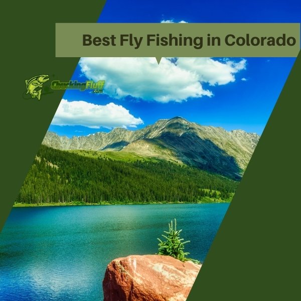 Best Fly Fishing in Colorado