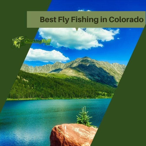 Best Fly Fishing in Colorado - Rocky Mountain Paradise