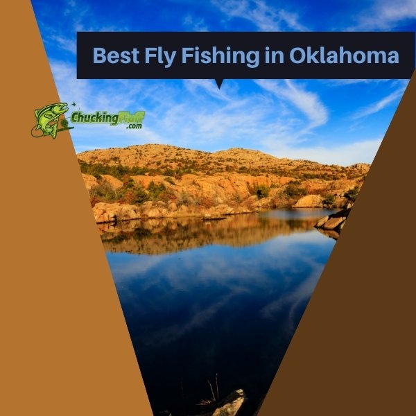Best Fly Fishing in Oklahoma