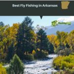 Best Fly Fishing in Arkansas