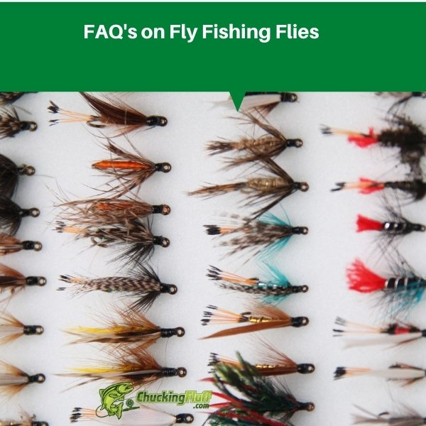 FAQ's on Fly fishing Flies