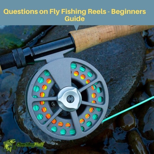 Questions on Fly Fishing Reels - Beginners Guide