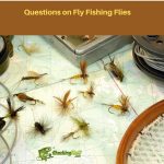 Questions on Fly fishing Flies